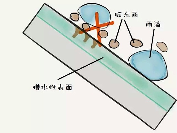 自清洁4